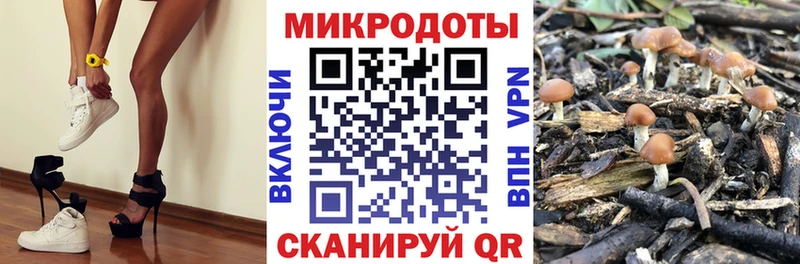 Галлюциногенные грибы GOLDEN TEACHER  Сертолово 
